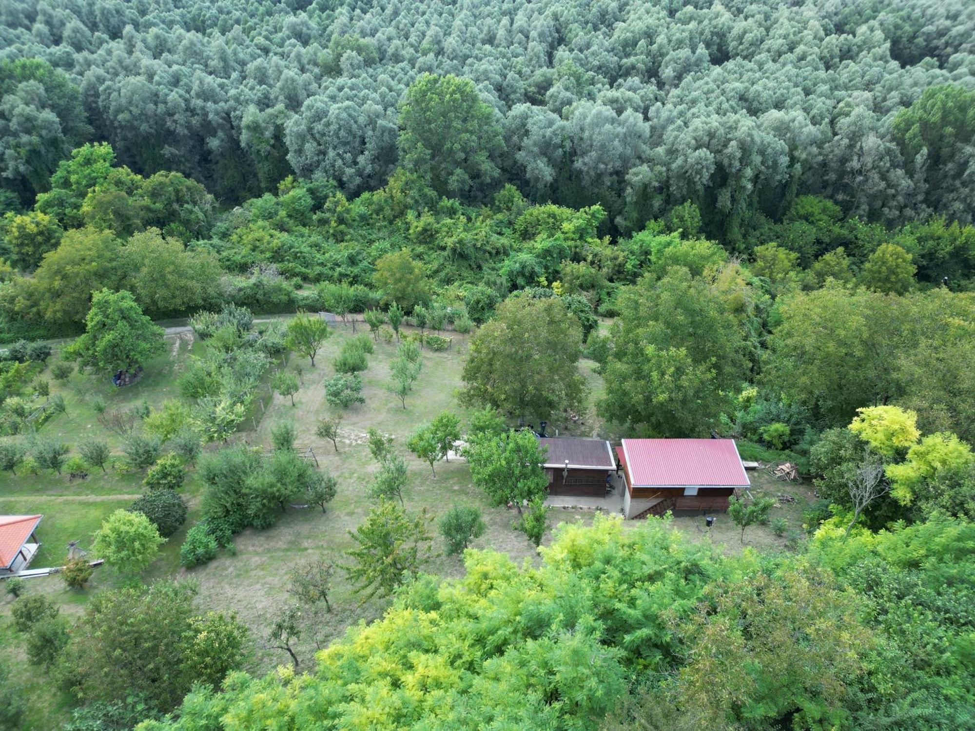 Вілла Odmor Za Dusu I Tijelo U Srcu Prirode Aljmas Екстер'єр фото